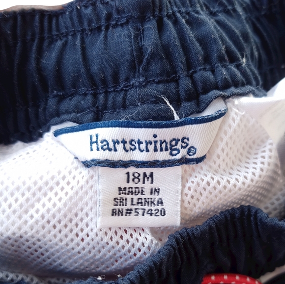 Heartstrings American Flags Swim Trunks - Picture 3 of 3